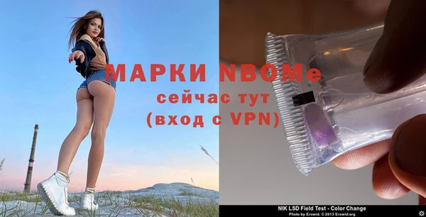 а пвп мука Алзамай