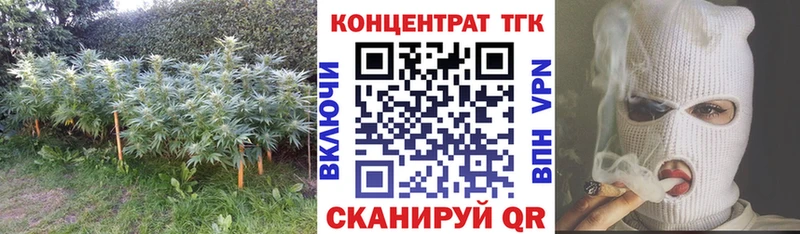 ТГК вейп с тгк  ссылка на мегу   Сосновый Бор  купить  