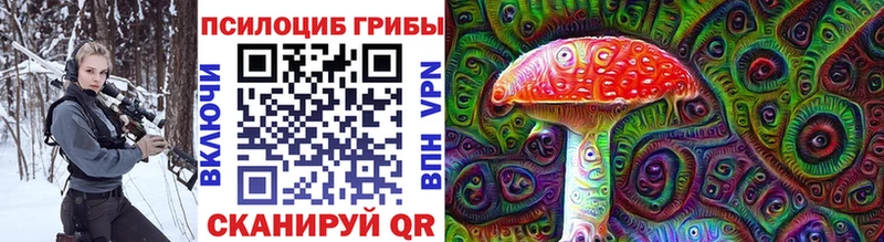 сколько стоит  Сосновый Бор  Галлюциногенные грибы Psilocybine cubensis 